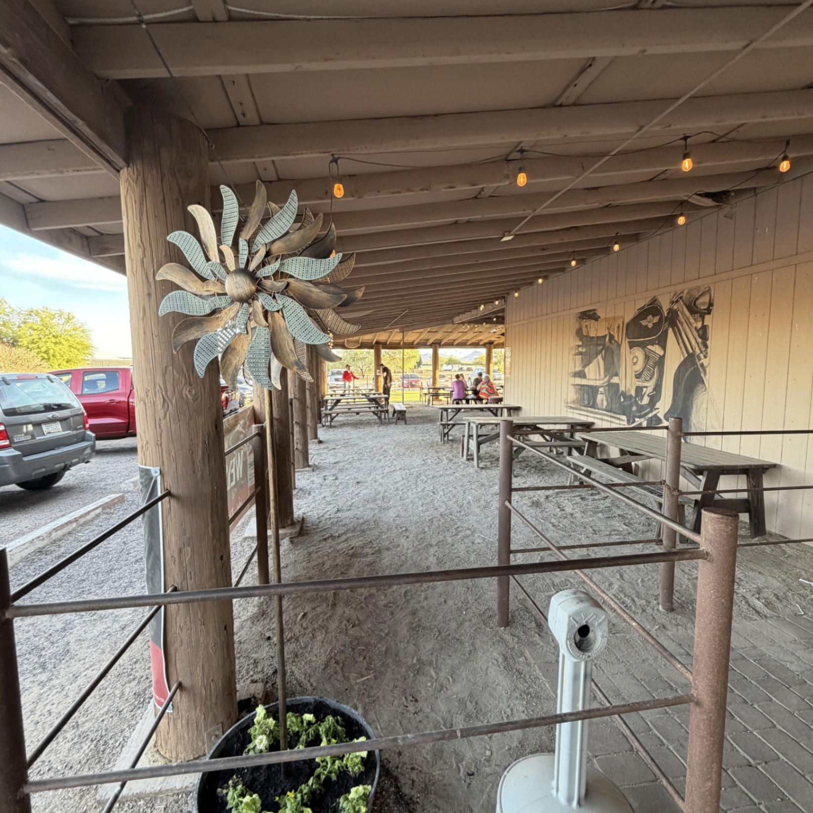 Inside the Desert Rose